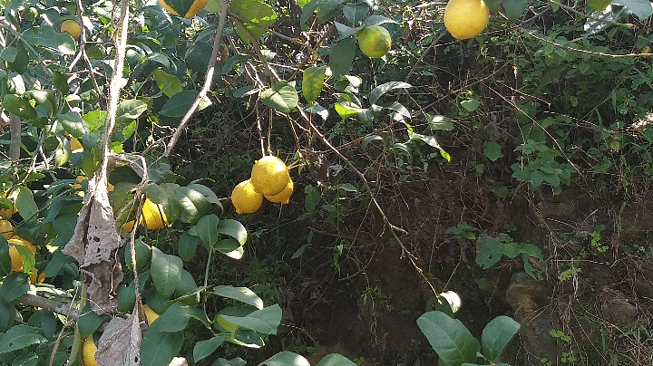 IMG 20220202 093344 118