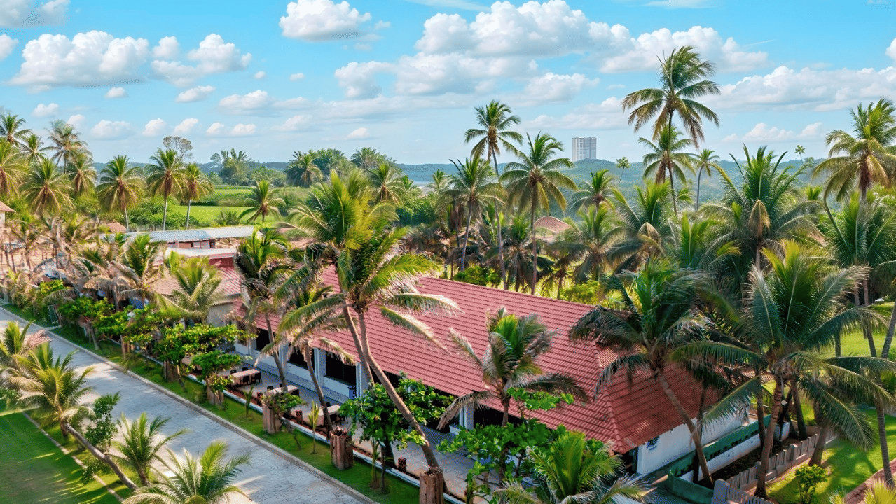 Beachside view of MGM Beach Resorts ECR Chennai with palm trees
