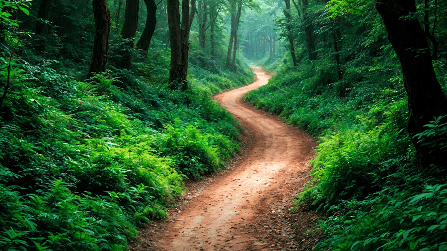 A winding dirt path through a lush, green, misty forest with tall trees.