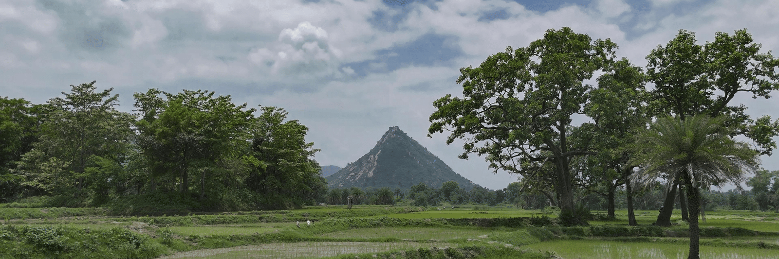 pexels-debargha-bhattacharya-1376058906-27696248