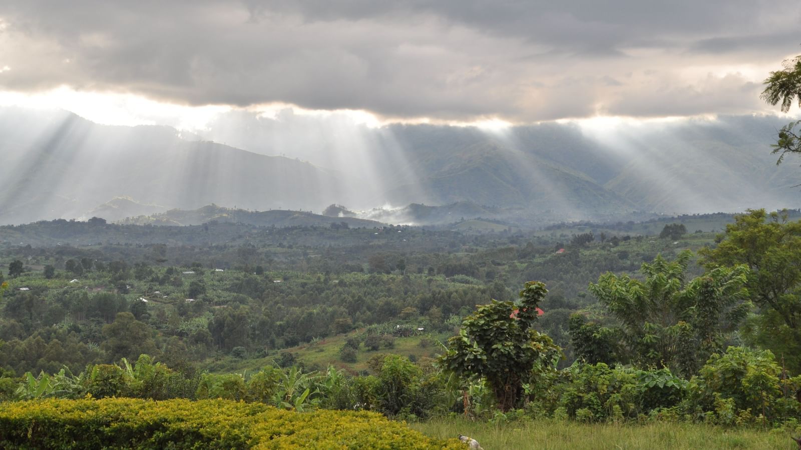 An overview of rwenzori mountains with the clouds parting and above during Winter in Congo.