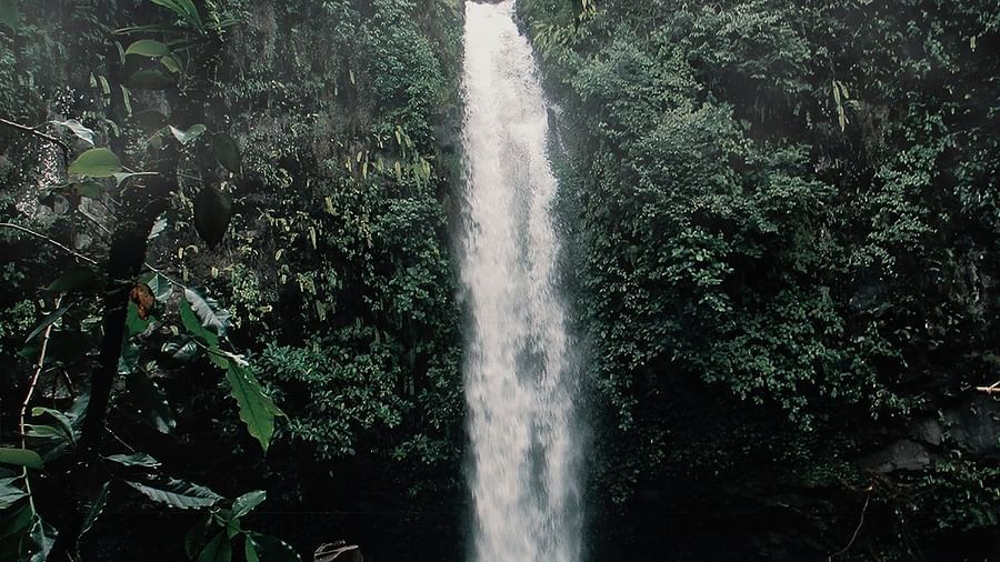 Waterfall amidst the woods