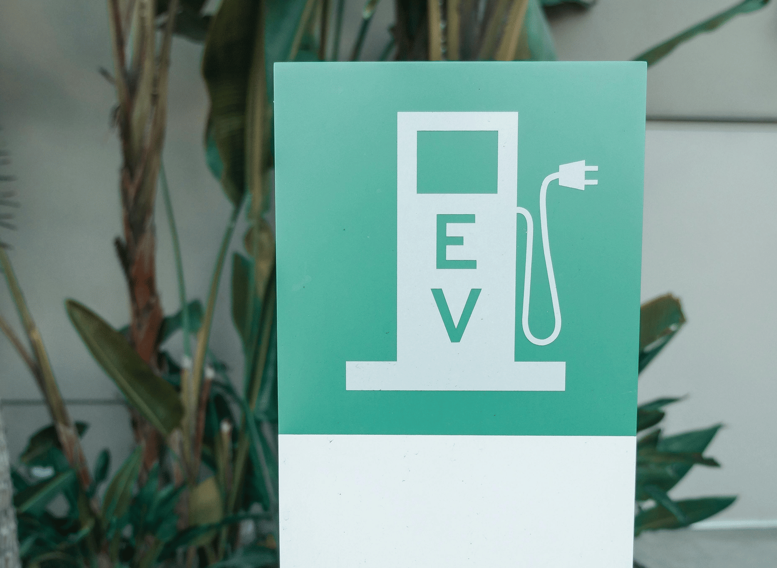 pexels-kindelmedia-9800007