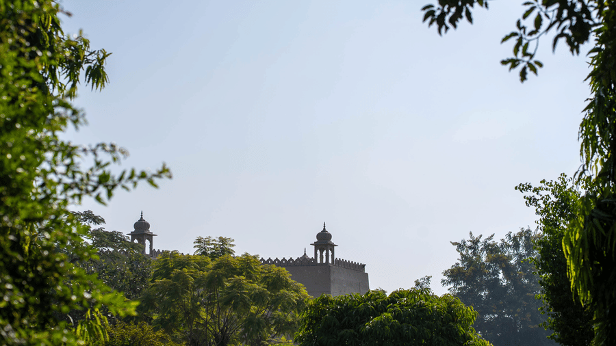 Bamboo Saa Jaipur   Processed Pictures   November 2025-75