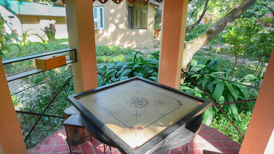 A carrom board with a metal structure inside, surrounded by trees and foliage.