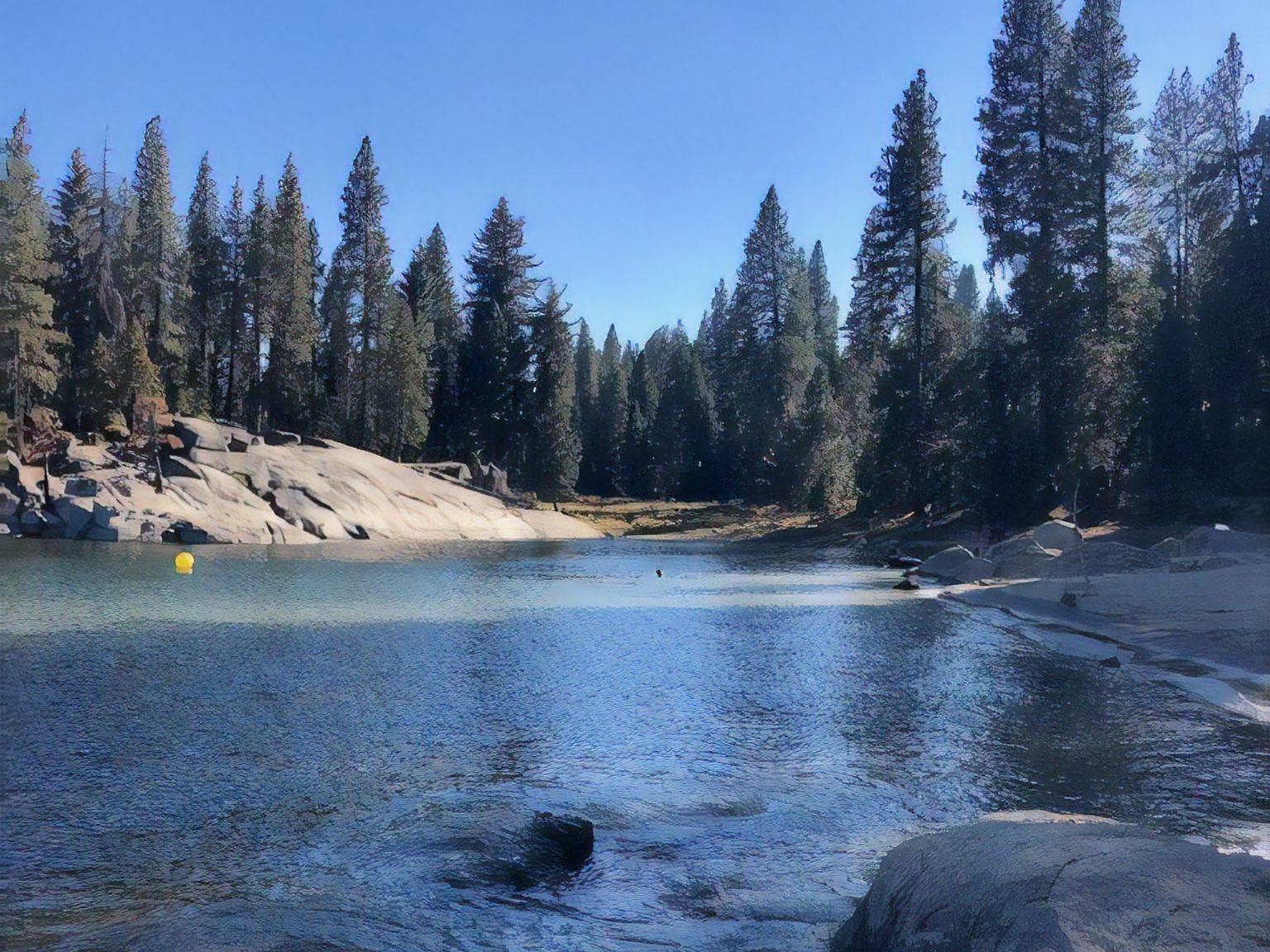 A view of a lake with a few rocks in the foreground and a forest in the backdrop on a clear, blue day