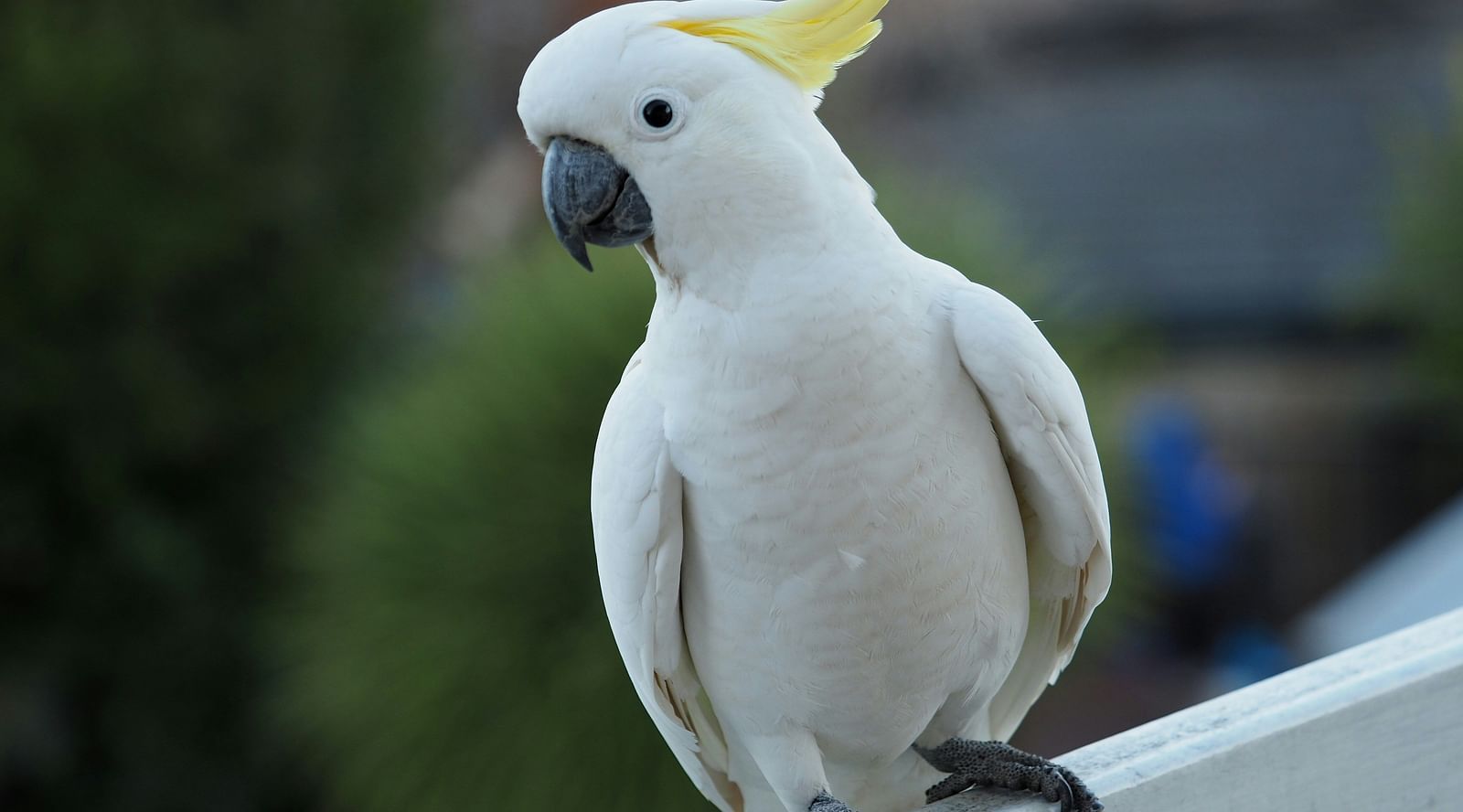 dieter-pelz-qvI3wvjSoHE-unsplash