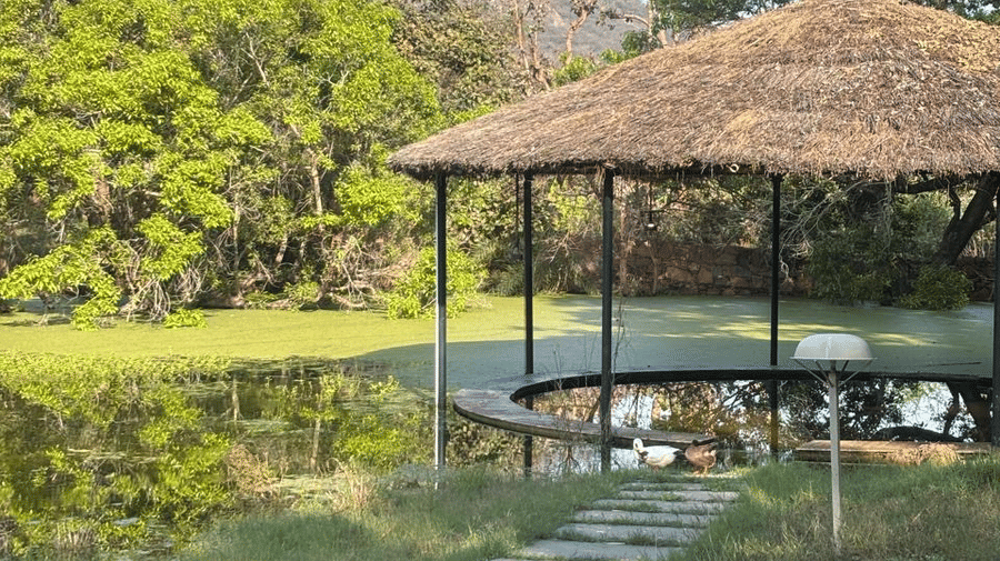 9 - Landscape 4- Surya Bagh Ajabgarh