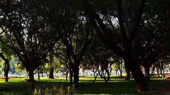 Cubbon Park