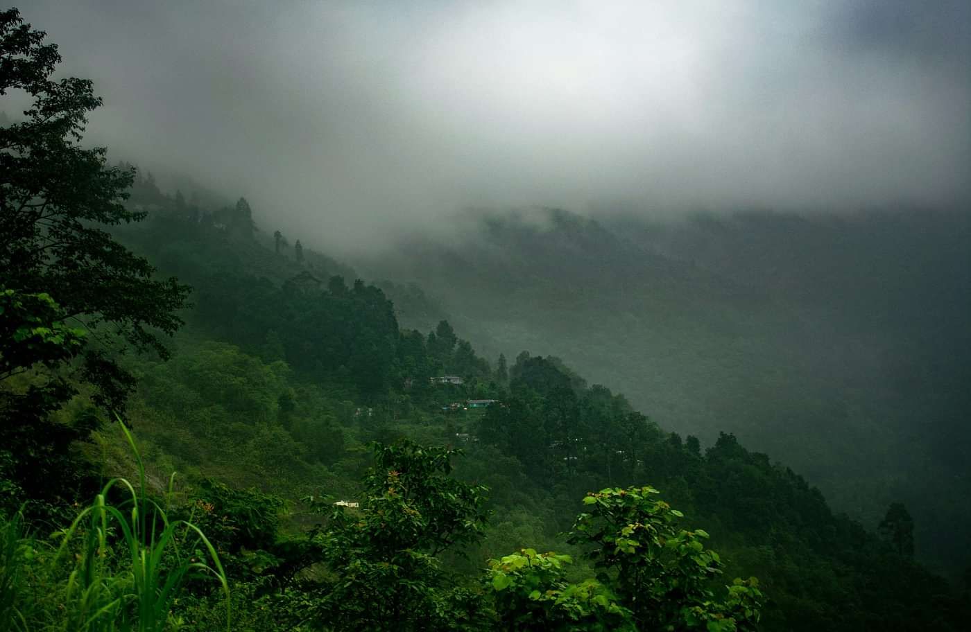 rabhimbh-bardhan-URA7XdzTA7s-unsplash