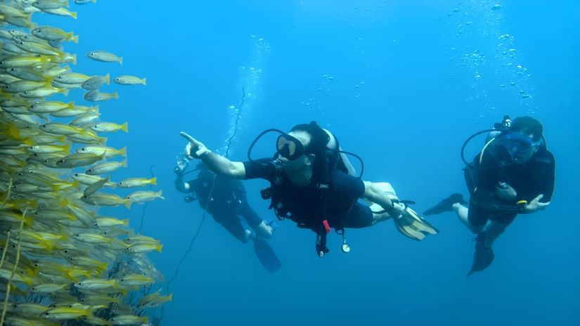 Three people snorkelling in deep ocean and paying a visit to aquatic lives like fishes and floras.