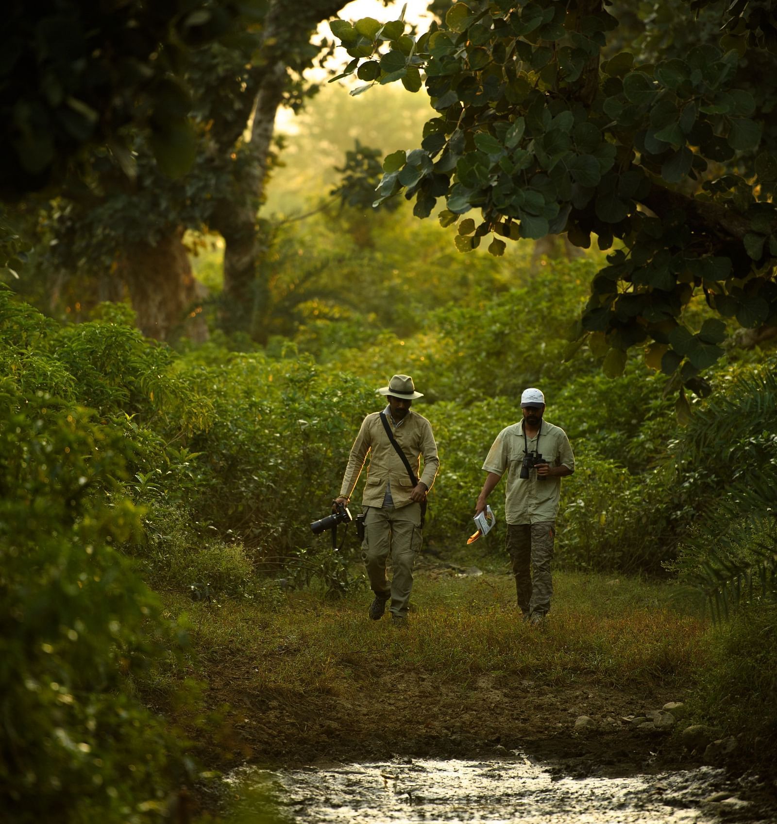 An image two men walking amidst green a forest - An image of a jeep parked amidst the rocky mountains - Utsav Camp Sariska