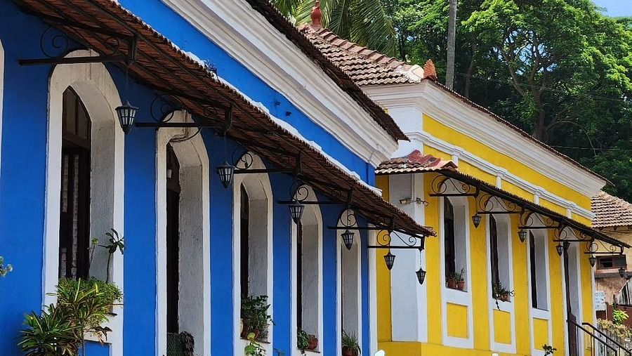 Vibrant buildings amidst coconut trees on the streets of Goa
