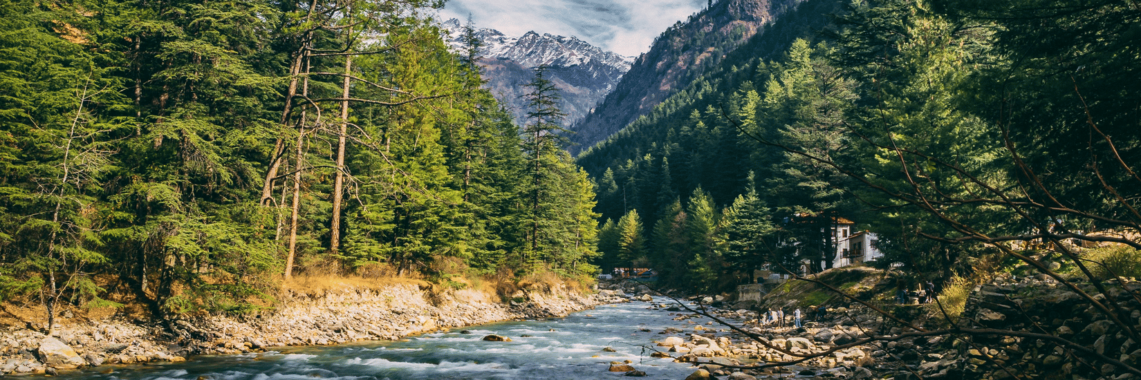 An image of a flowing stream with plants, trees, and mountains on either side