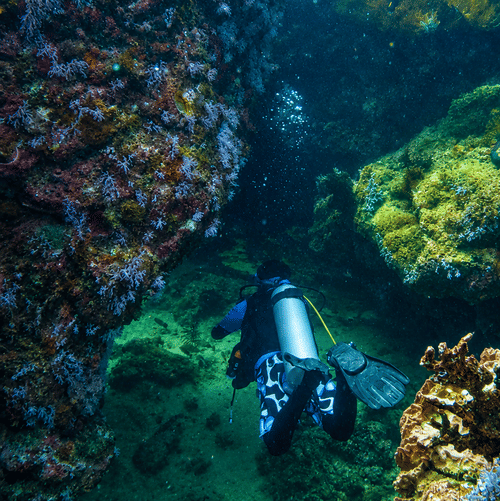 Scuba diver swimming through a vibrant underwater coral reef, surrounded by colourful marine life and rock formations in clear blue water.