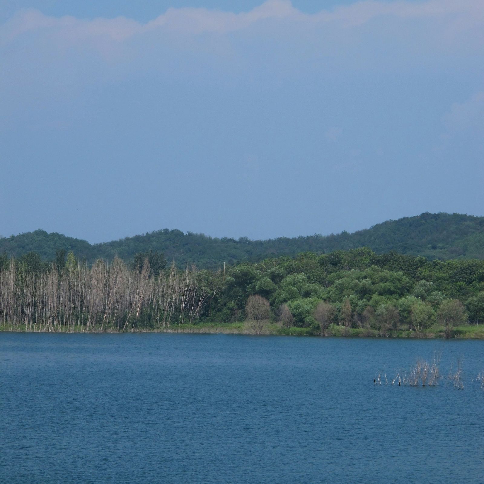 A lake with bare trees and dense shrubs on the bank and hills covered with lush trees in the distance under a blue sky