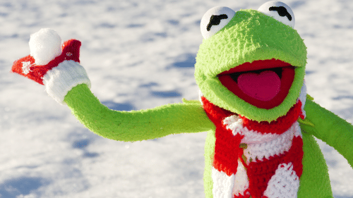A close up of a soft toy of Kermit the frog wearing a scarf and gloves holding a snow ball.