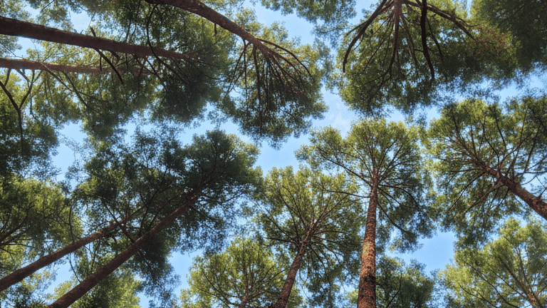 Generated Image October 17, 2025 - 2 25PM