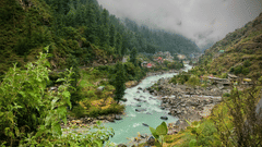 A river winds through a lush green valley in Kasauli.