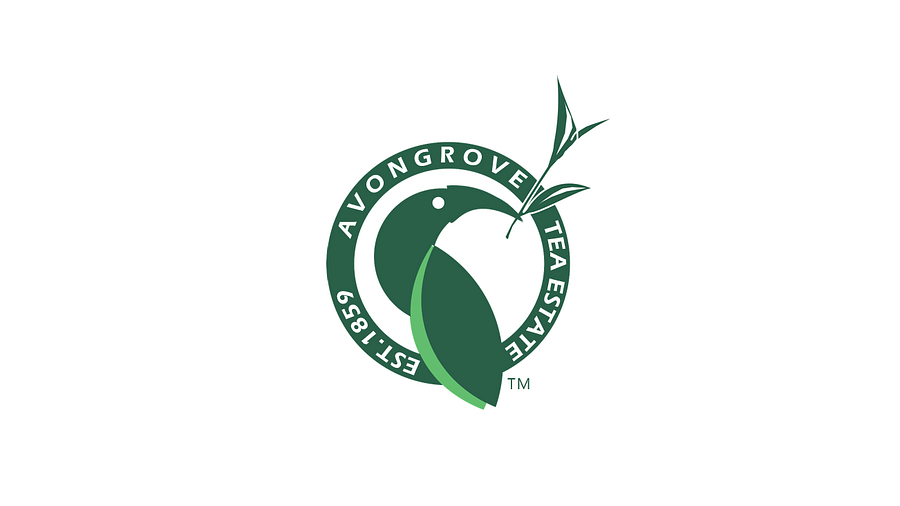 avonfrovr logo