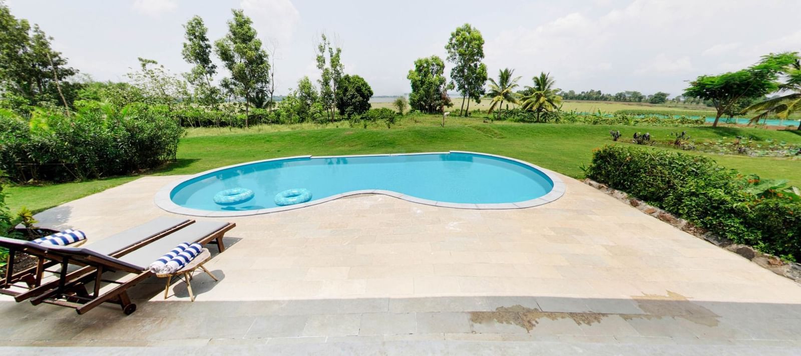 Swimming pool with curved edges with deck chairs arranged on the side and trimmed hedge in the background at Fireflies Resorts, Kabini.