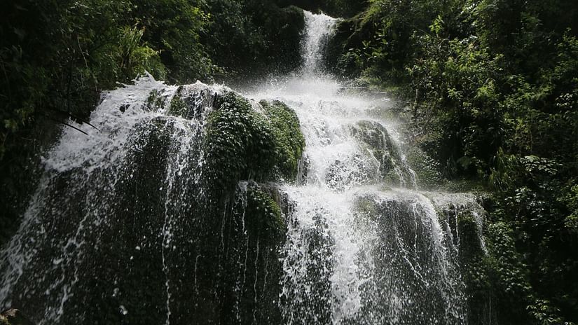 Waterfall on Rocks in Forest