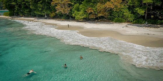 A  beach with gentle waves lapping against the sandy shore under a clear sky.