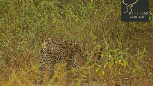 afe5b32c-0c4f-4a36-aa63-4c0e0147162f 1