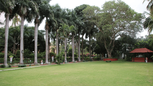  A lawn with tall palm trees and open green space at the best resort in Bangalore | Ramanashree California Resort