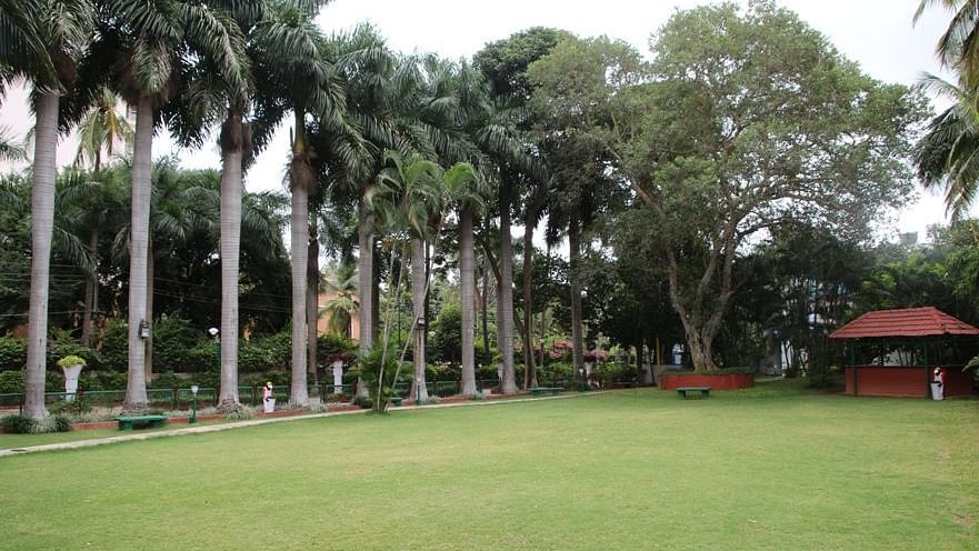 Lawn 5