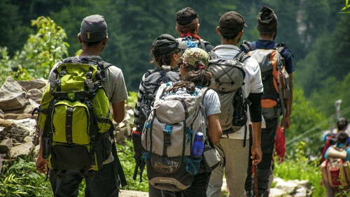 A group of hikers with backpacks trek through a lush forest trail, surrounded by greenery and sunlight on an outdoor adventure.
