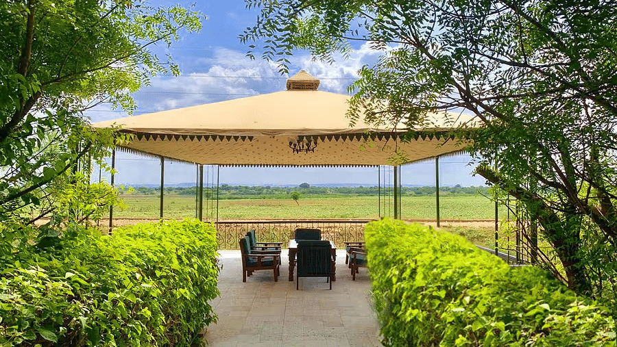 37737f54-6a99-4f9d-adb9-a2176c74788b