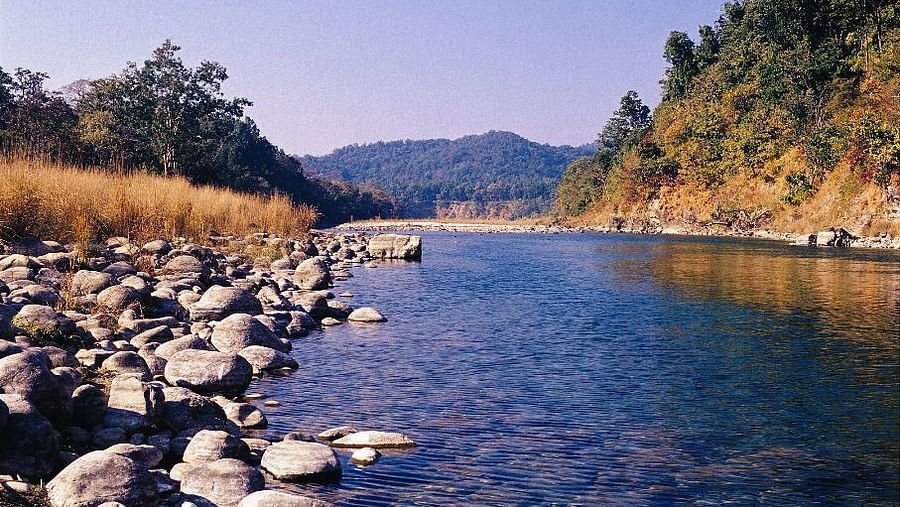 An image of a stream surrounded by plants, trees, and mountains