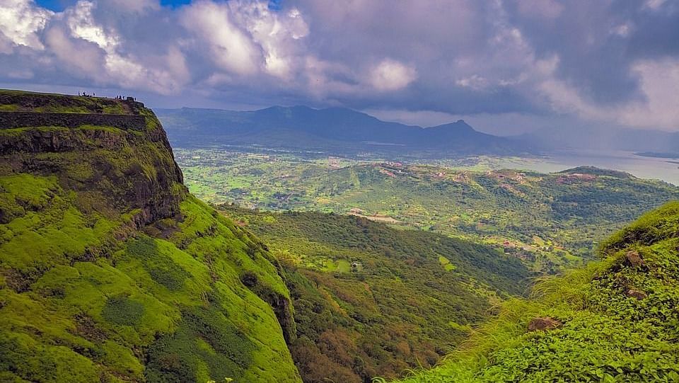 an image of a mountain covered with greenish plants