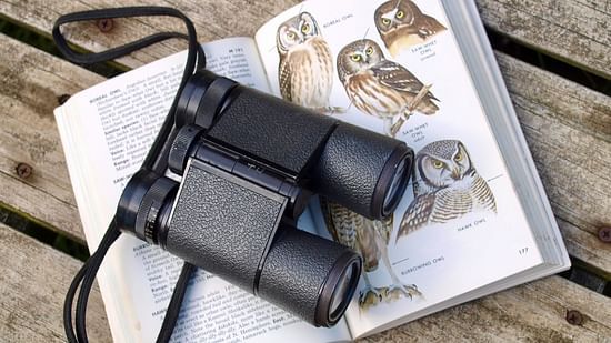 an image of a binocular kept atop a book showcasing images of owl as a guide to bird watching