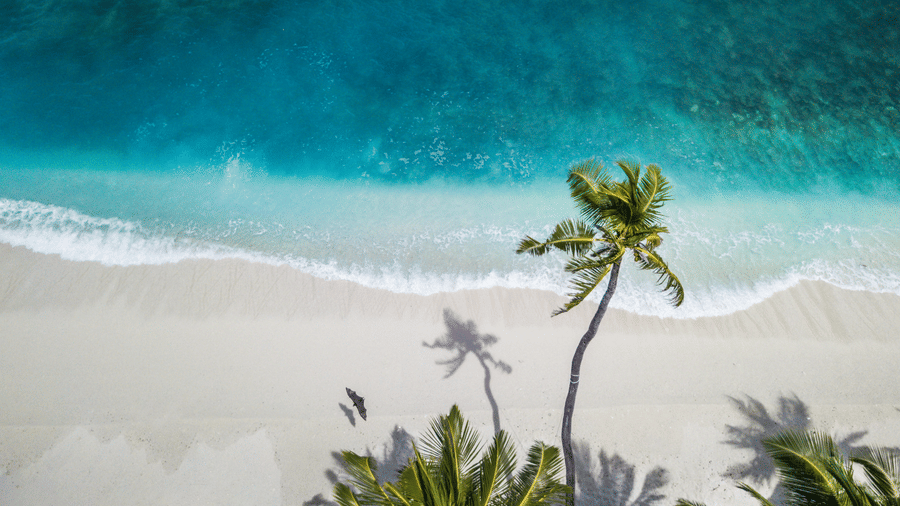 nattu-adnan-atSUvc1hMwk-unsplash