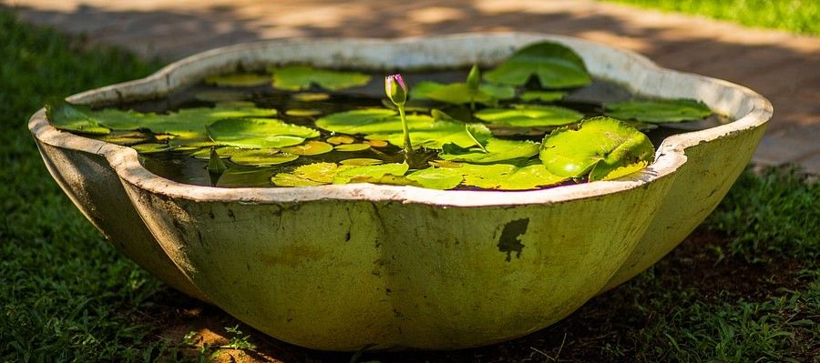 Facilities,Hamsa Villas Goa, Best Resort In Goa 10