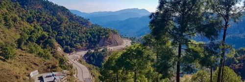 A winding mountain road surrounded by lush green pine trees, with distant hills and a clear blue sky in the background