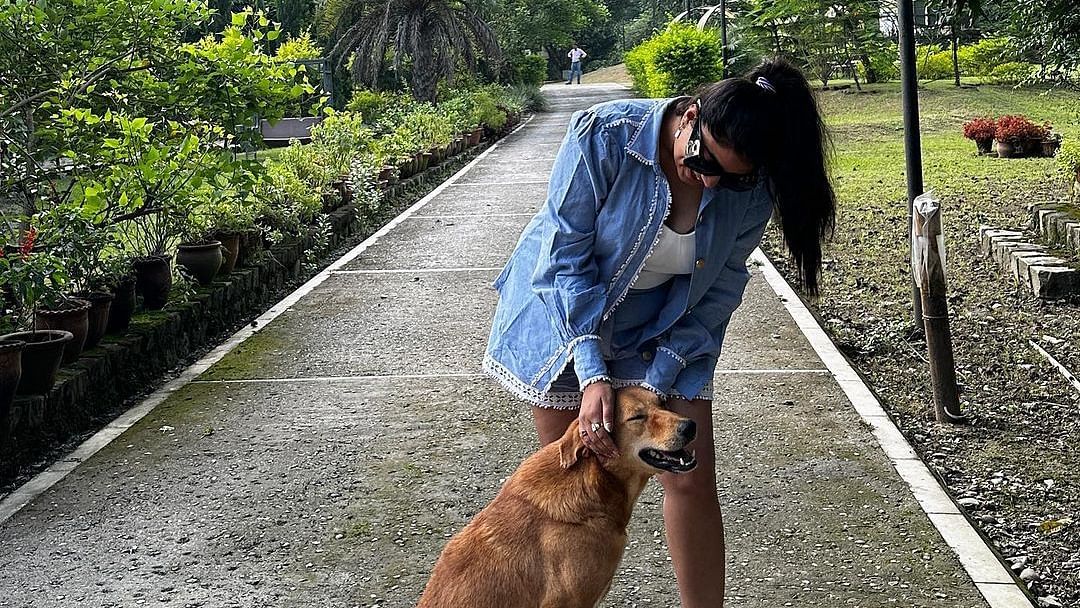 A woman petting a dog on a pathway surrounded by greenery at the Sylvan Retreat, Dehradun.