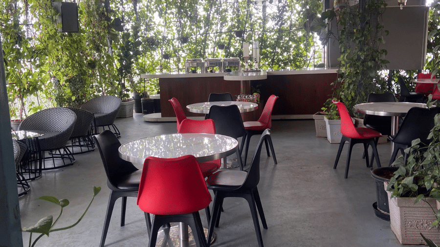 The Rooftop Cafe at the SRS Suites, Koramangala, with a tin roof covering the dining area and surrounded by green creeper plants all around.