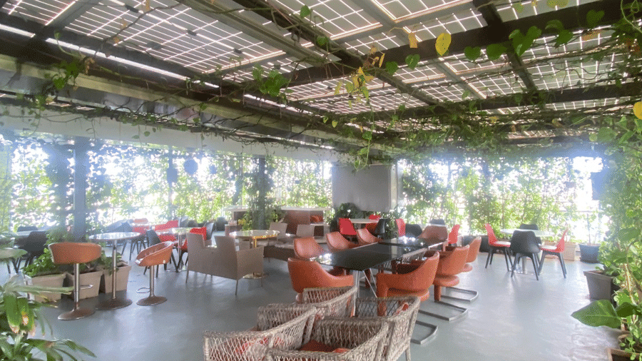 Full view of the Rooftop Cafe at the SRS Suites, Koramangala, featuring a brightly lit space with ample of natural light and with green climbers all around giving a peaceful ambience.