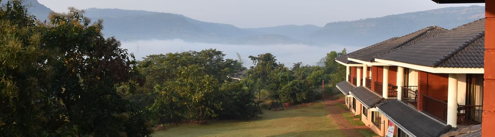 a ground-level view at Forest Escape resort, featuring buildings and a pathway surrounded by lush greenery.