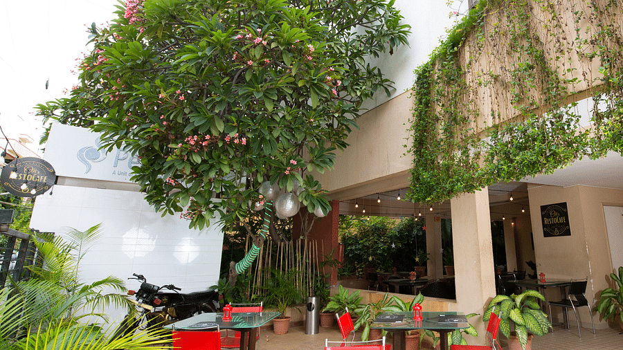 Restaurant - OBs RestoCafe - 12