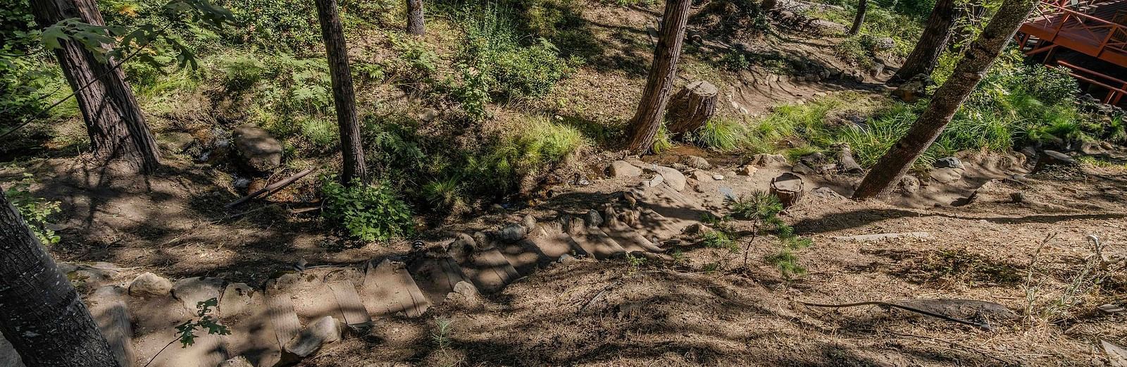 Sub-aerial view of a trail in the forests - Narrow Gauge Inn - A Serenite Hotel Near Fish Camp.
