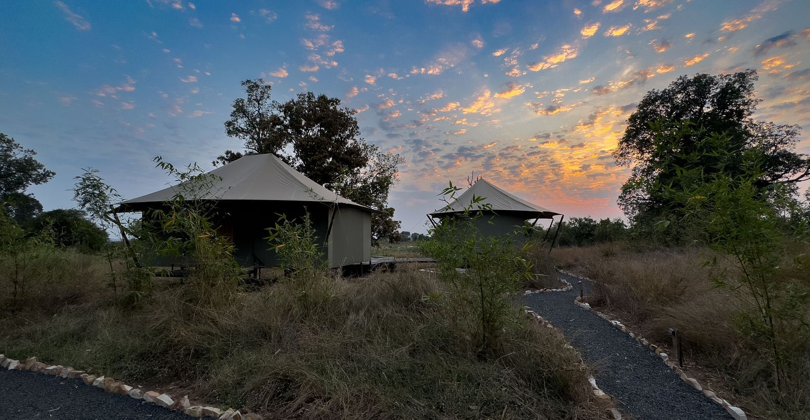 Facade view of the twin tents at Trees N Tigers, Tadoba.