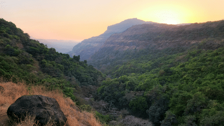 A lush green valley and forested mountain gorge at sunset, with warm golden light spilling over the distant ridge.