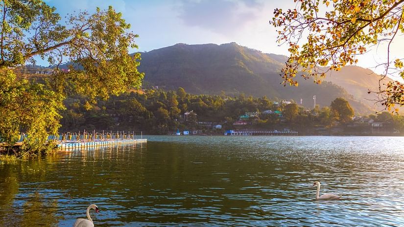 A wide angle view of the lake surrounded by mountains, with a swan swimming in the foreground and trees lining the shore, during the sunset hours.