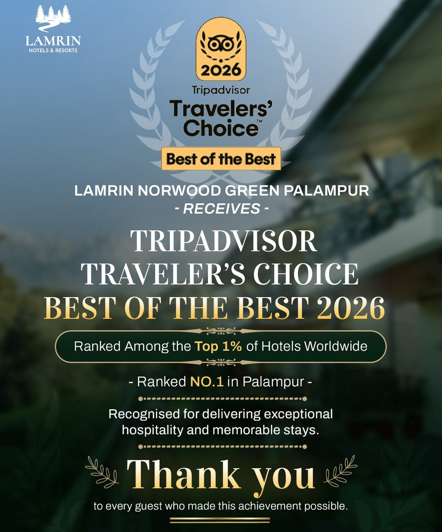 Tripadvisor Travellers Choice Award 2026 recognition awarded to Lansdowne Grove Hotel for exceptional guest experiences and hospitality excellence