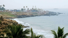 A coastal view with rocky shoreline, palm trees, and the sea.