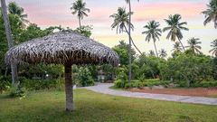 An open space in Abad Turtle Beach Resort, Marari Alleppey, the best resort in Alleppey featuring an umbrella made out of dry leaves  and lush greenery